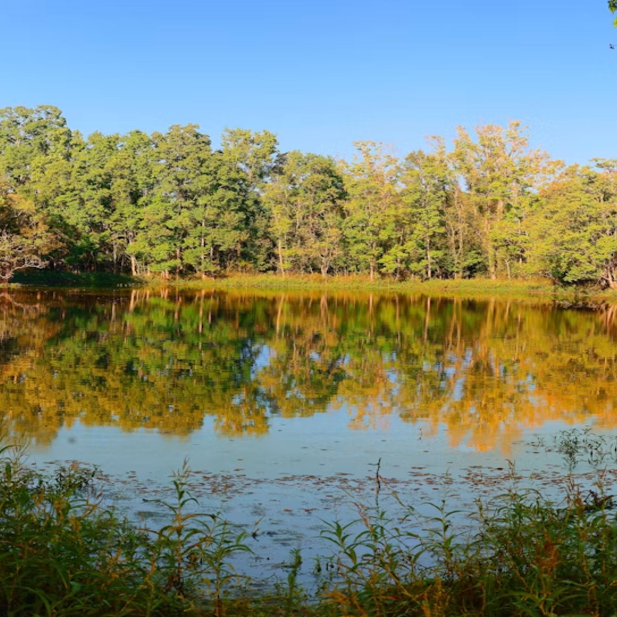Two-Day Rifle Hunt & Fishing for Two During the Florida Rut at T's Farm
