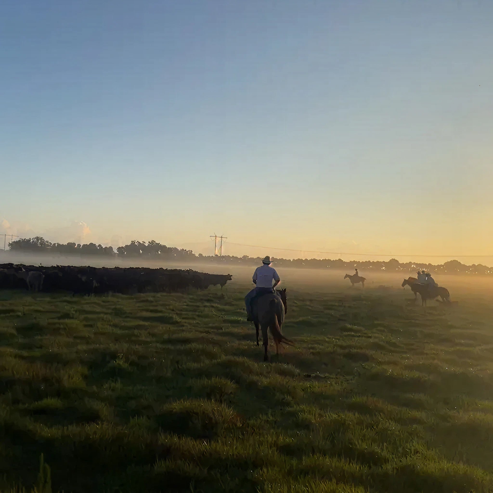 2 Person, 2 Nights Guided Thermal Hog Hunt with Lodging in Port St. Lucie, FL