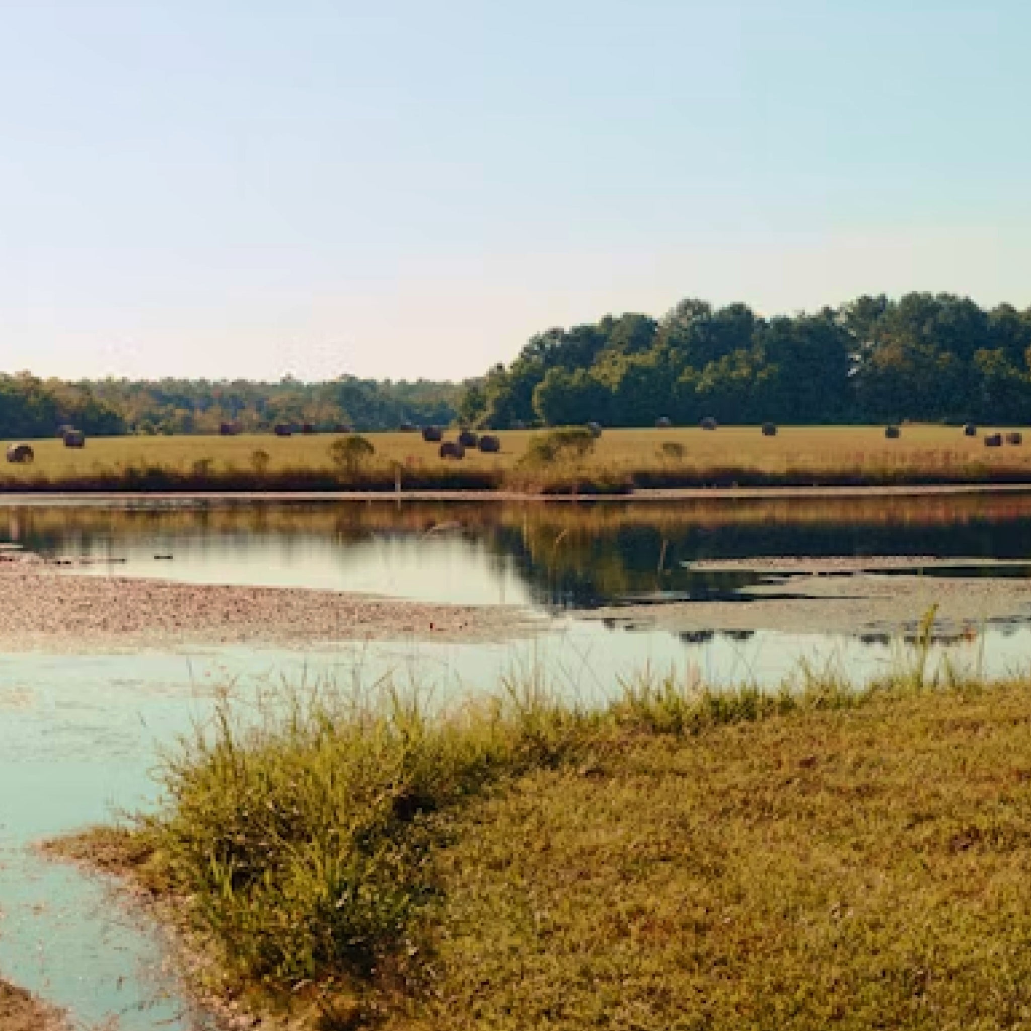 Two-Day Rifle Hunt & Fishing for Two During the Florida Rut at T's Farm