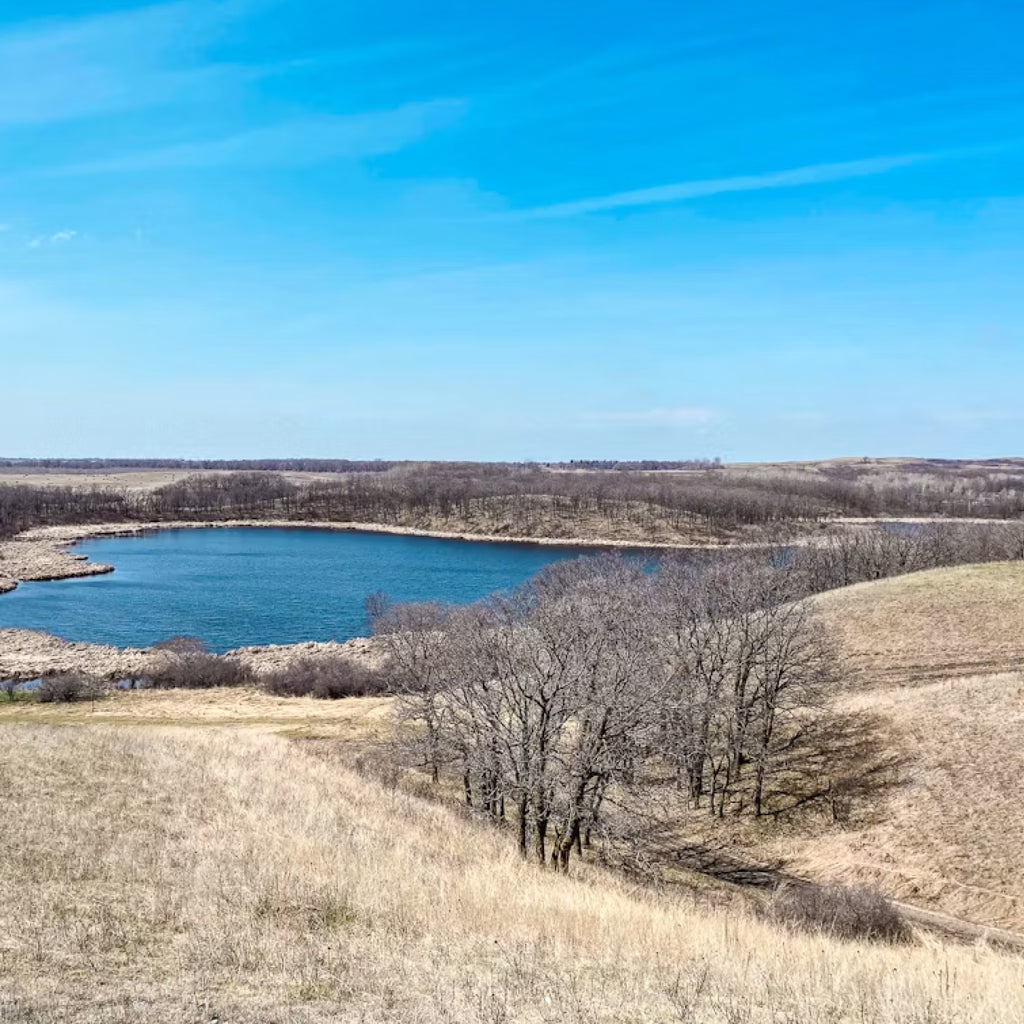 Upland Hunt for Four on the Rolling Grasslands of the 3 Lazy S Ranch in North Dakota
