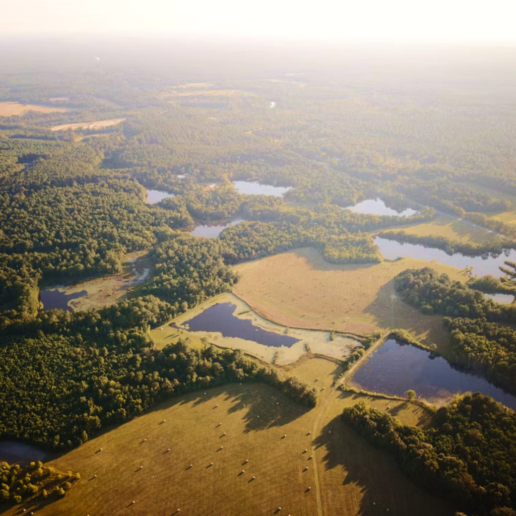 Two-Day Rifle Hunt & Fishing for Two During the Florida Rut at T's Farm