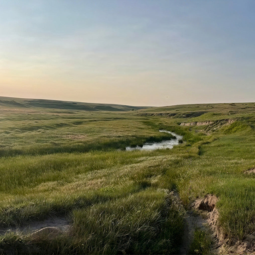 2-Day Kansas Pheasant + Quail Hunt for 4