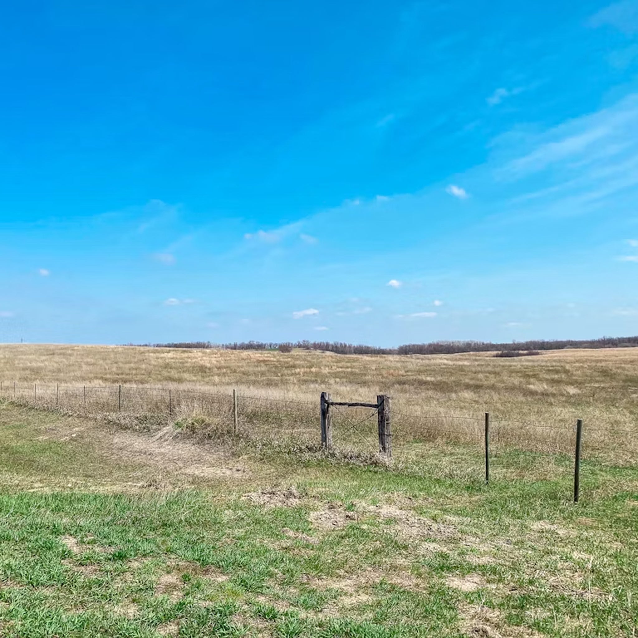 Upland Hunt for Four on the Rolling Grasslands of the 3 Lazy S Ranch in North Dakota