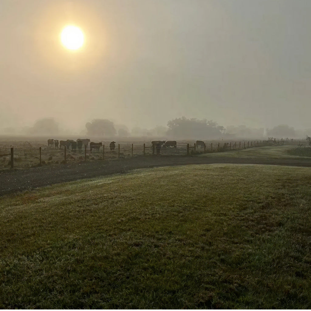 2 Person, 2 Nights Guided Thermal Hog Hunt with Lodging in Port St. Lucie, FL