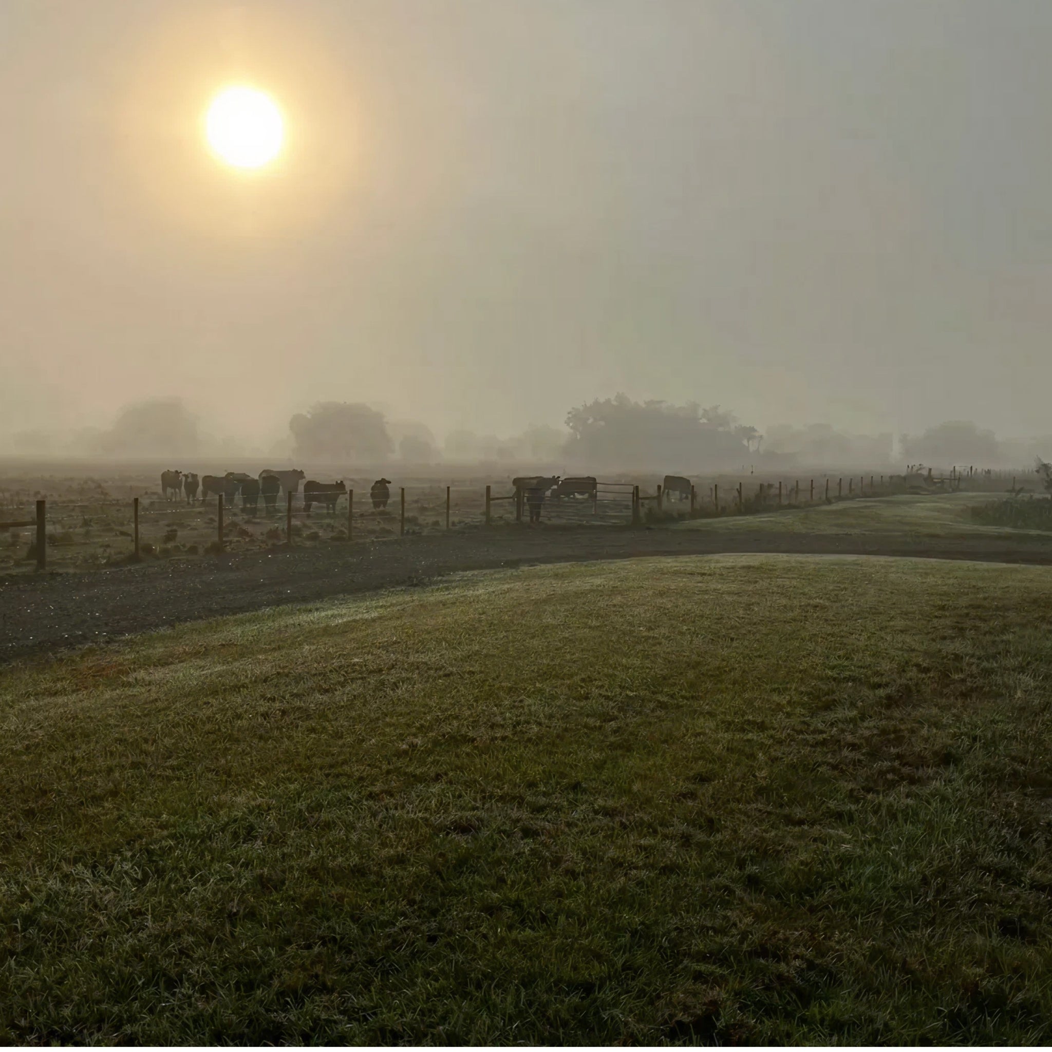 2 Person, 2 Nights Guided Thermal Hog Hunt with Lodging in Port St. Lucie, FL