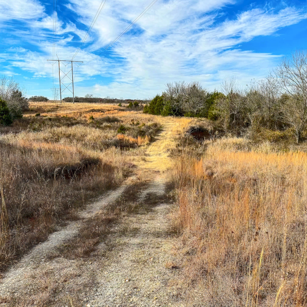 1 Person, 3 Days Semi-Guided Rifle Whitetail Hunt with Lodging in Pawnee, OK