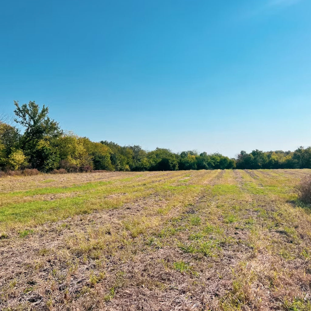Opening Weekend Whitetail & Bass: A Missouri Sporting Retreat for Two