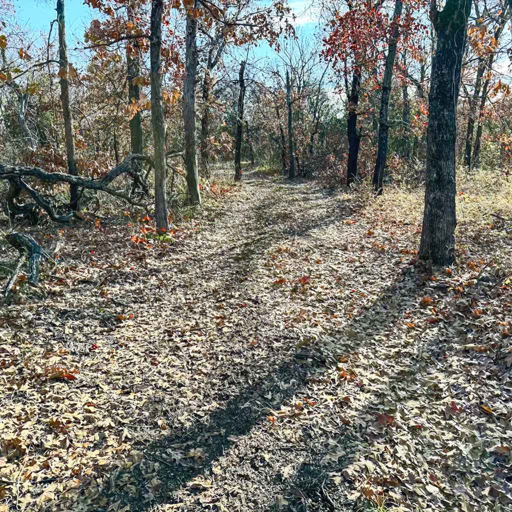 1 Person, 3 Days Semi-Guided Rifle Whitetail Hunt with Lodging in Pawnee, OK