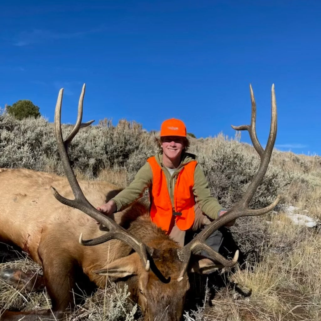 Five-Day OTC Colorado Elk Hunt for Two with Lodging and Trout Fishing