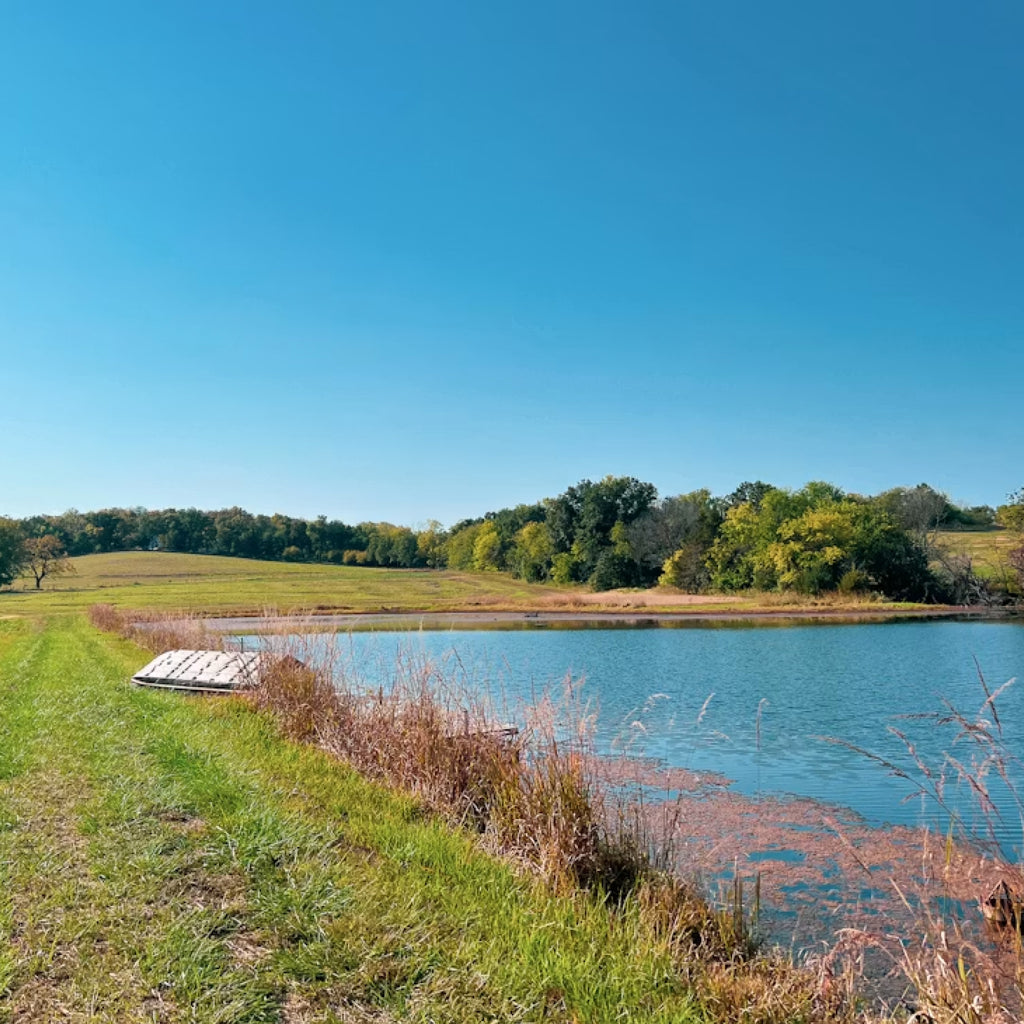 Opening Weekend Whitetail & Bass: A Missouri Sporting Retreat for Two