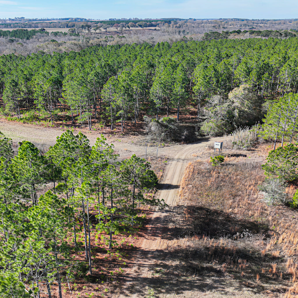 2 Person, 3 Day Eastern Turkey Hunt with Lodging & Fishing in Clio, AL