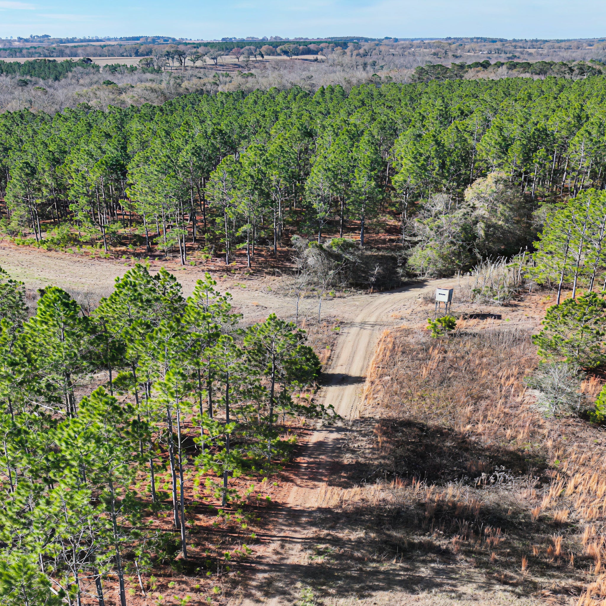 2 Person, 3 Day Eastern Turkey Hunt with Lodging & Fishing in Clio, AL