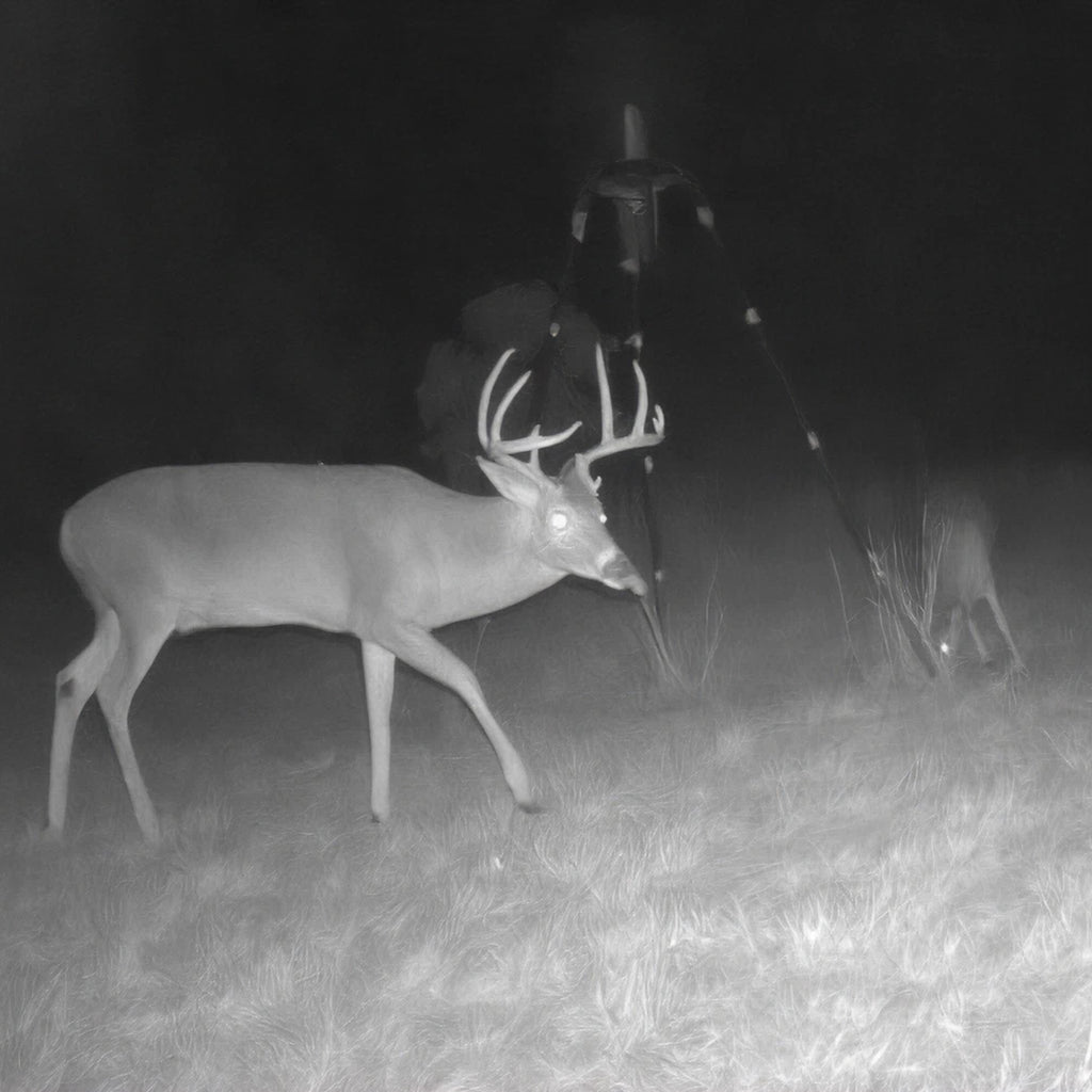 1 Person, 3 Days Semi-Guided Rifle Whitetail Hunt with Lodging in Pawnee, OK