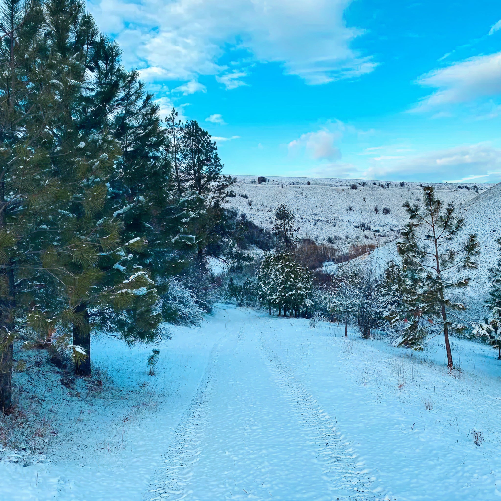 2 Person, 3 Day Rio Grande Turkey Hunt with RV Site in Asotin, WA