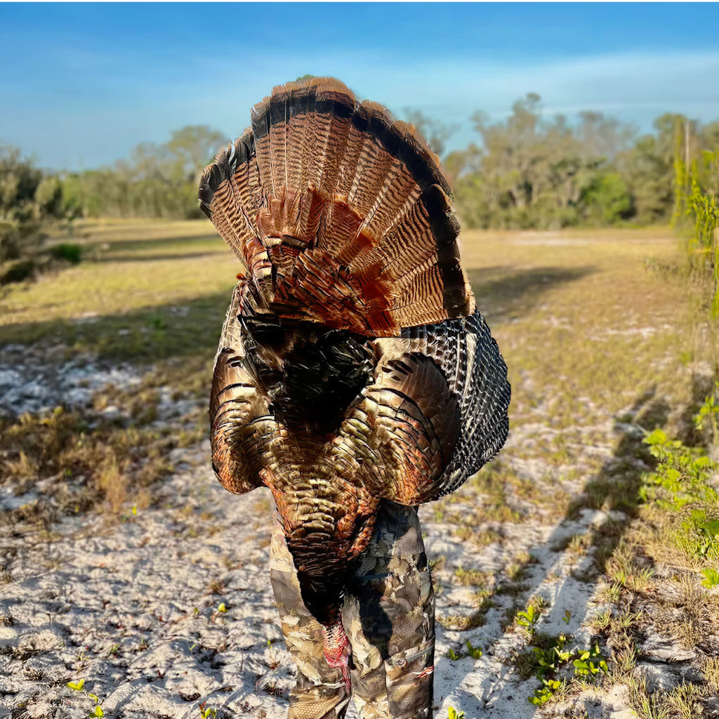 1 Person, 2 Day Osceola Turkey Hunt with Lodging in Lake Placid, FL