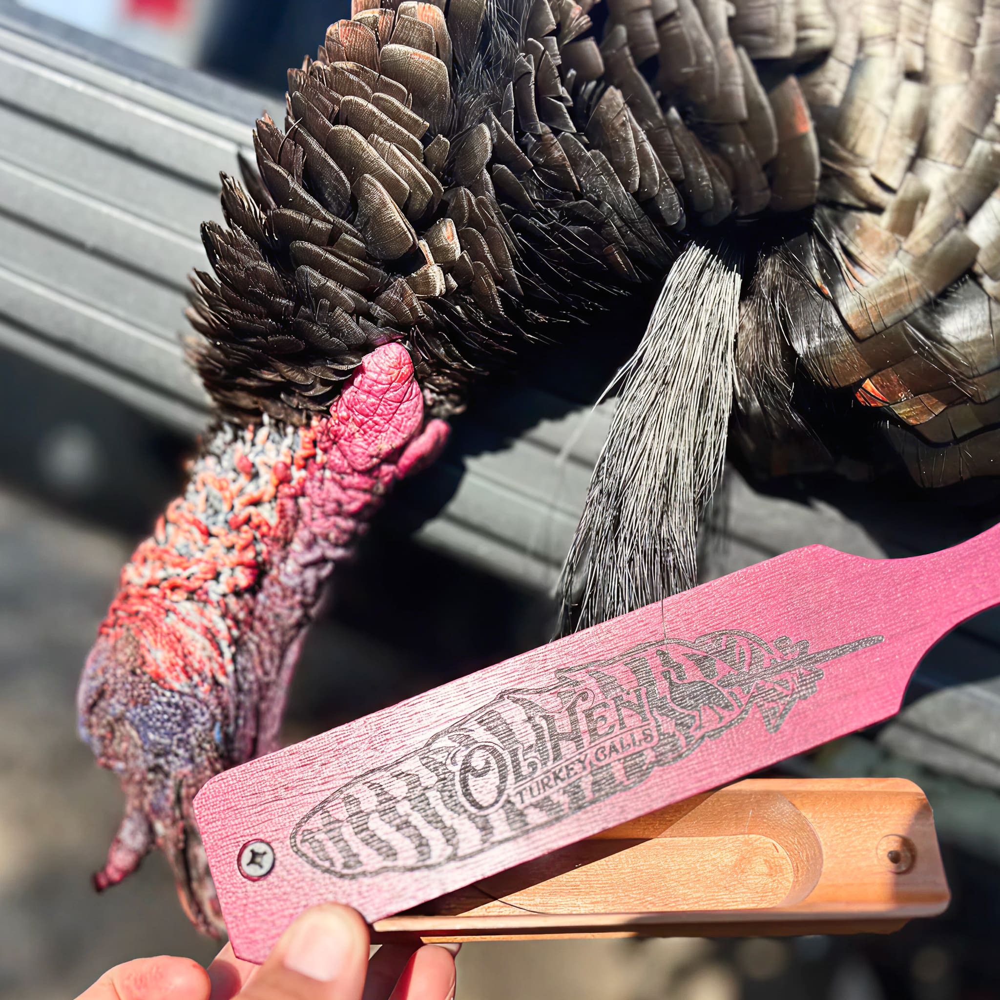 1 Person, 2 Day Osceola Turkey Hunt with Lodging in Lake Placid, FL