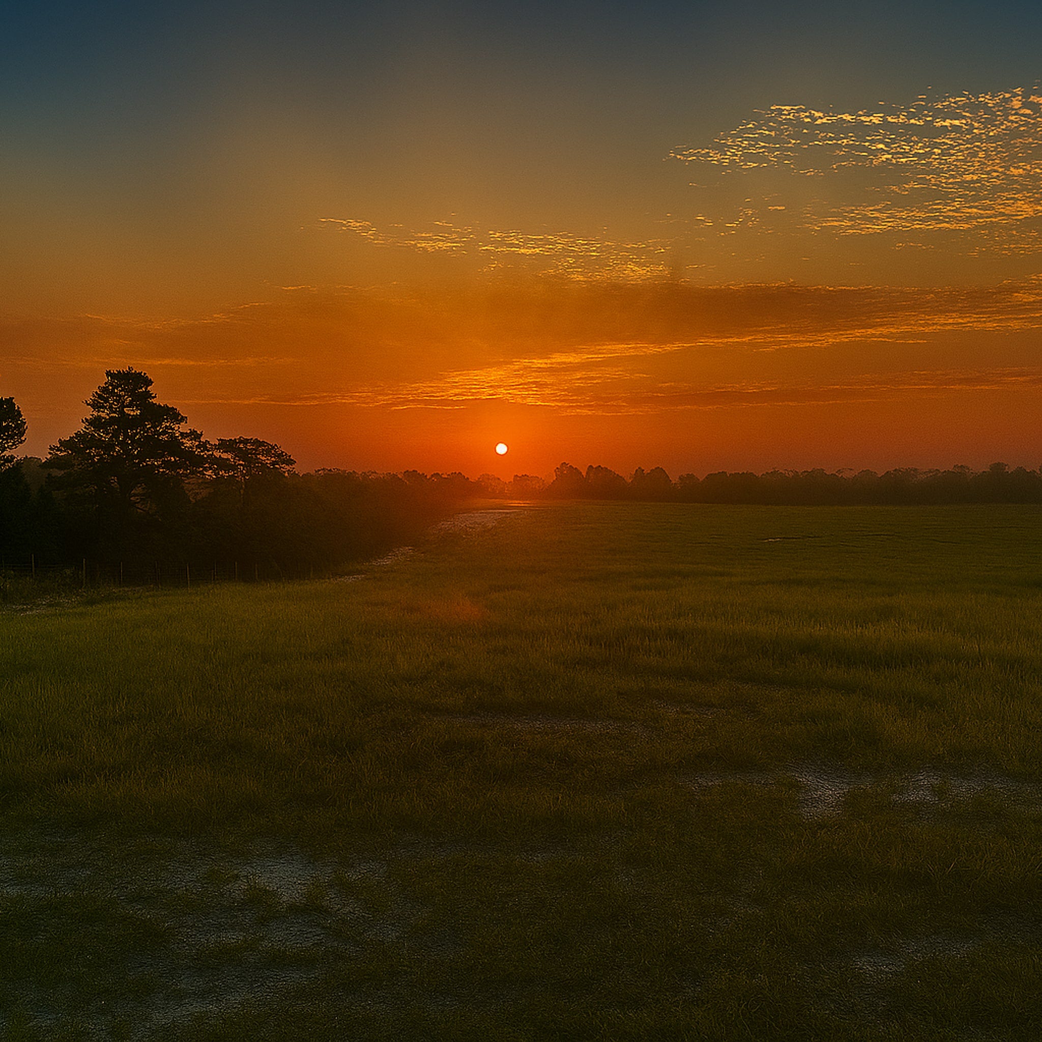 1 Person, 2 Day Osceola Turkey Hunt with Lodging in Lake Placid, FL