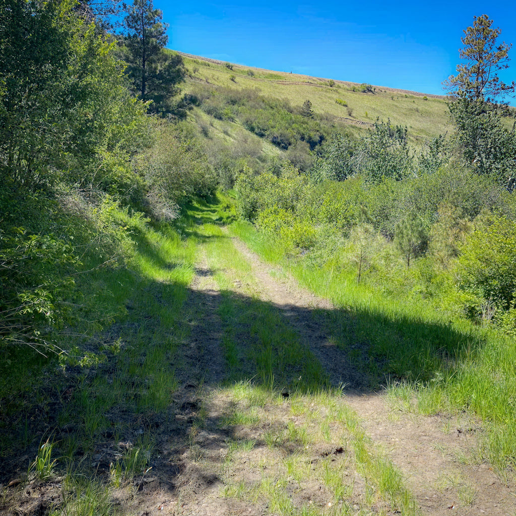 2 Person, 3 Day Rio Grande Turkey Hunt with RV Site in Asotin, WA