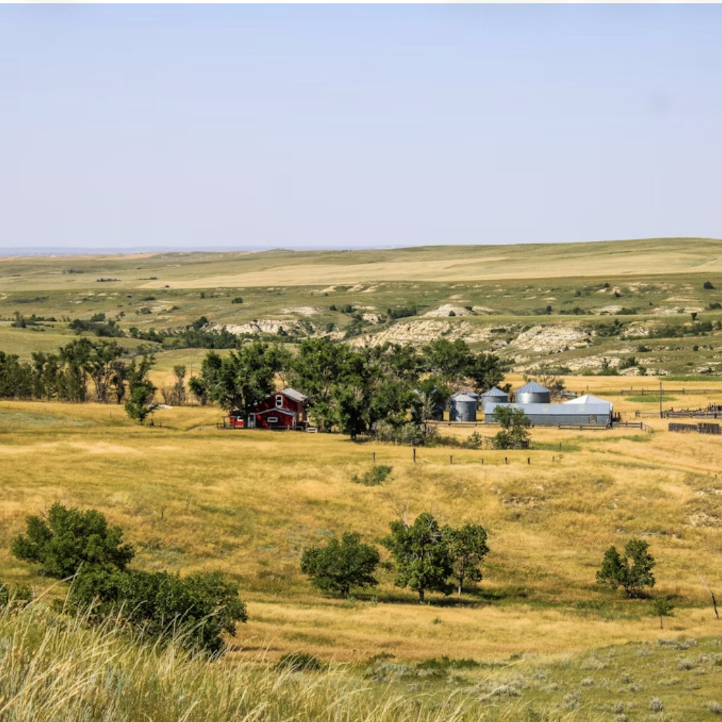 2 Person, 3 Day Upland Hunt with Lodging in Circle, MT