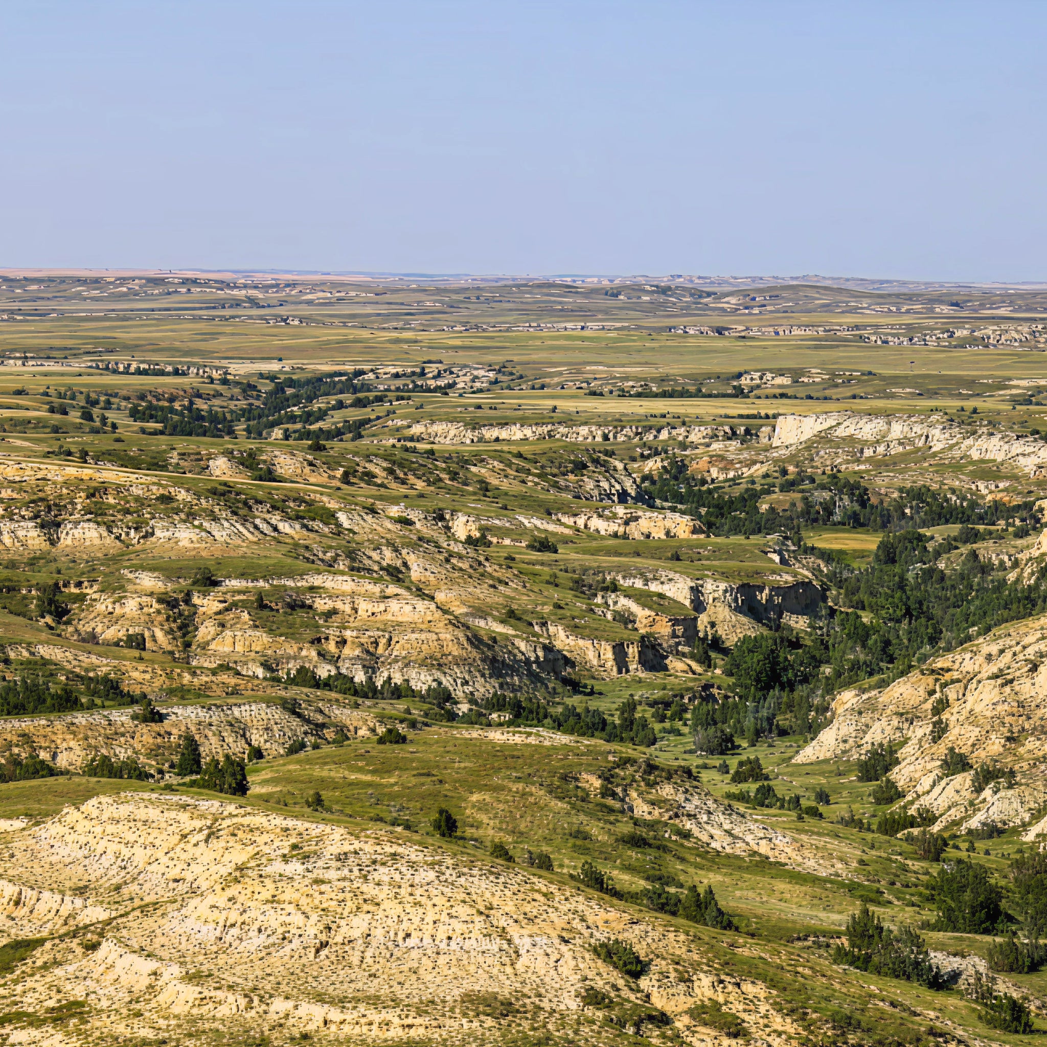 2 Person, 3 Day Upland Hunt with Lodging in Circle, MT