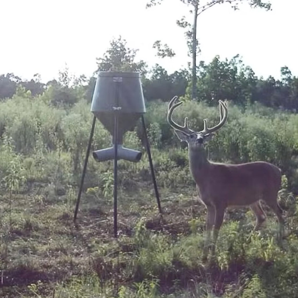Opening Weekend at Chambers Pond: Whitetail Hunt for Two
