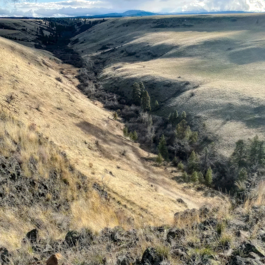 2 Person, 3 Day Rio Grande Turkey Hunt with RV Site in Asotin, WA