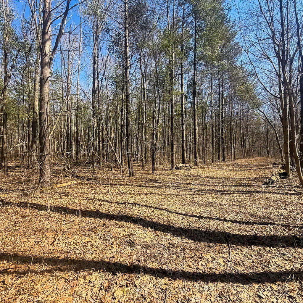 2 Person, 3 Day Whitetail Opening Gun Weekend & Fishing in Huntington, IN
