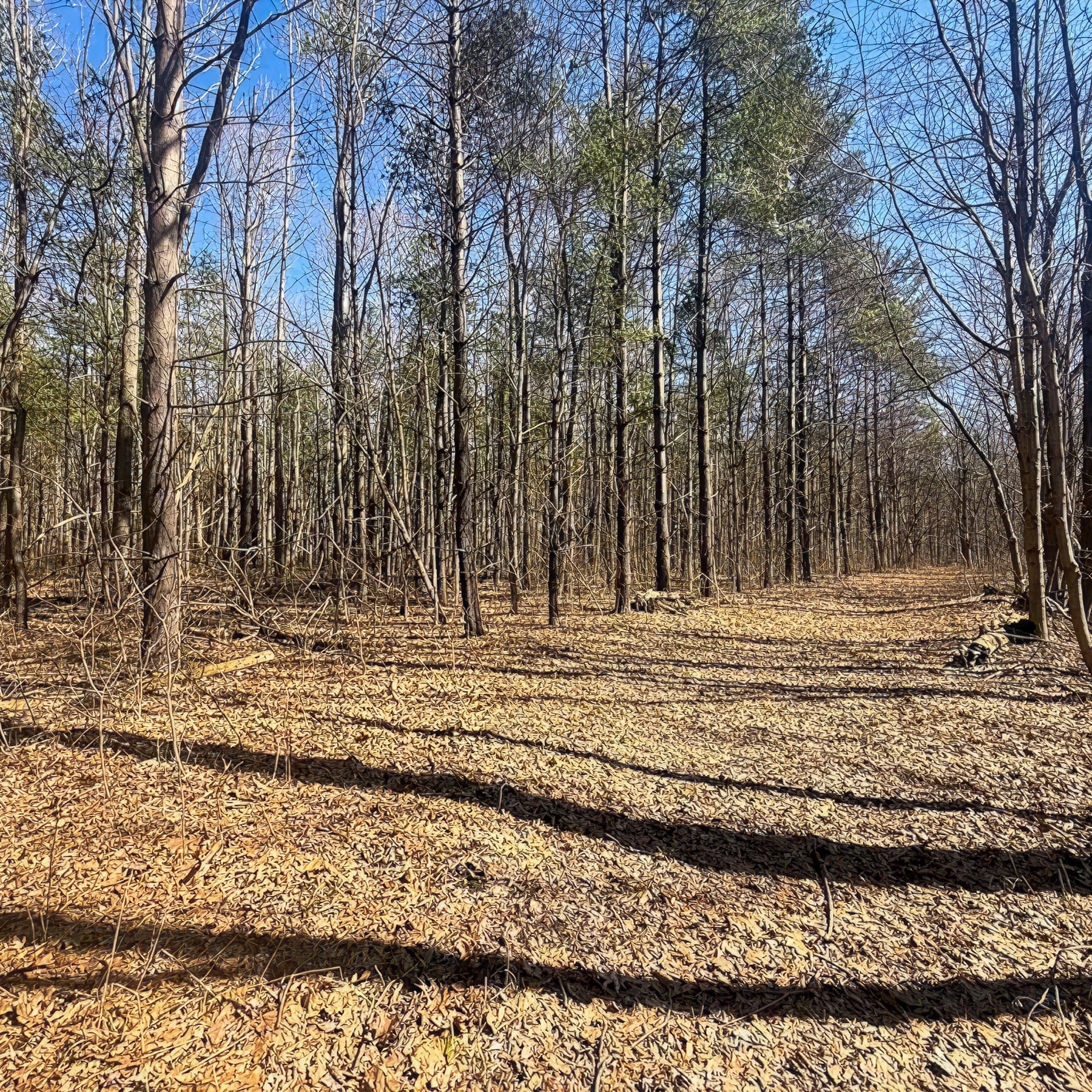 2 Person, 3 Day Whitetail Opening Gun Weekend & Fishing in Huntington, IN