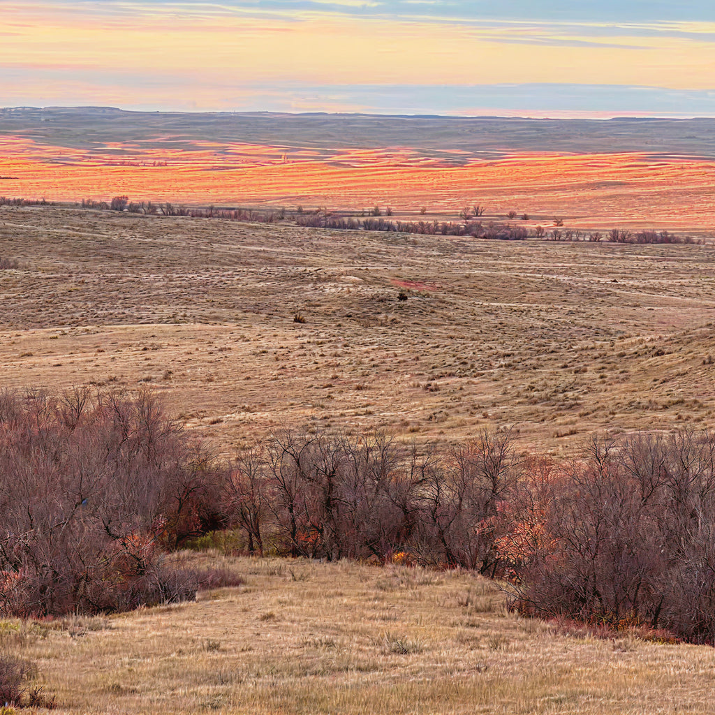 Big Sky Pursuit: Coyote Hunt for Three – Montana