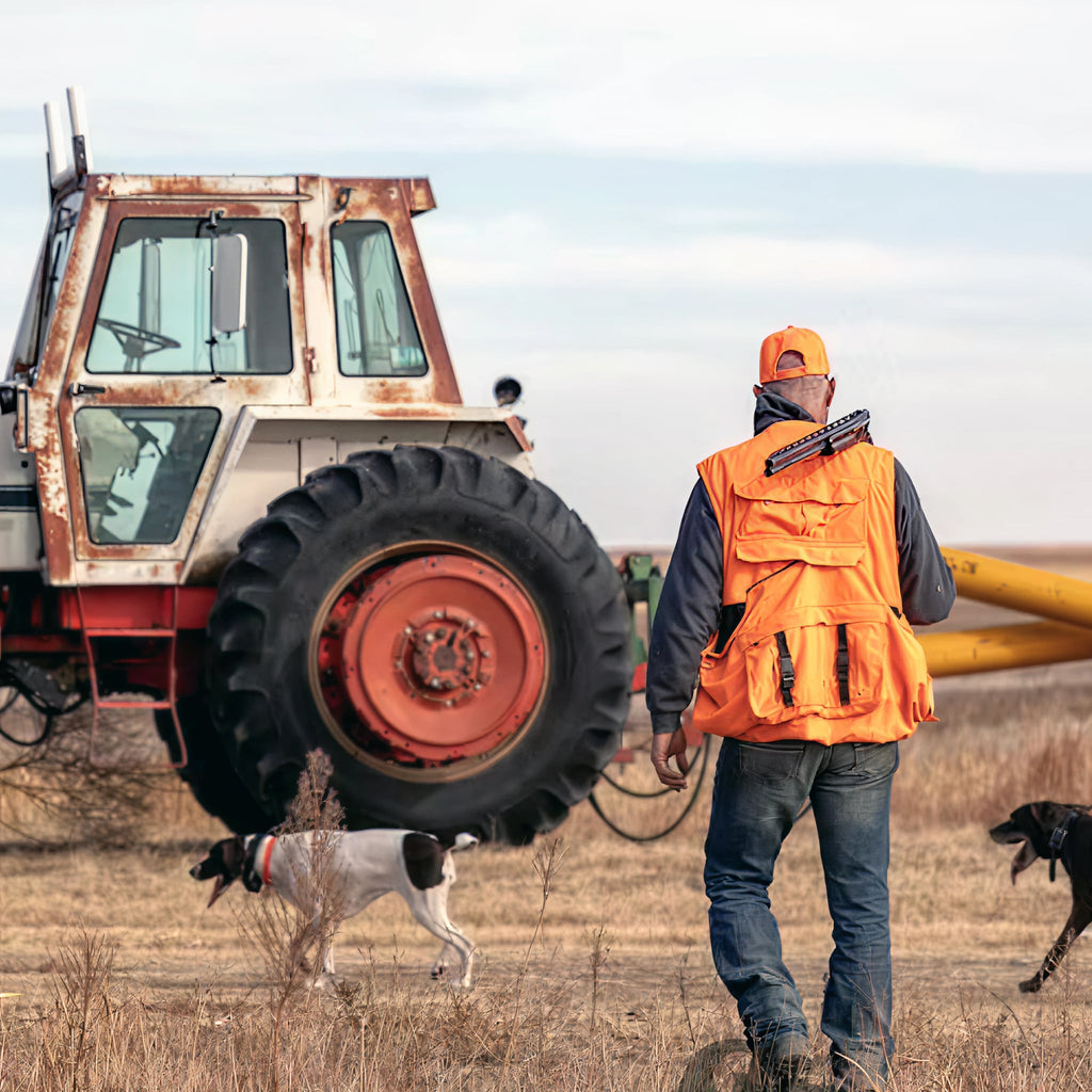 2 Person, 3 Day Pheasant and Quail Hunt with Lodging in Leoti, KS