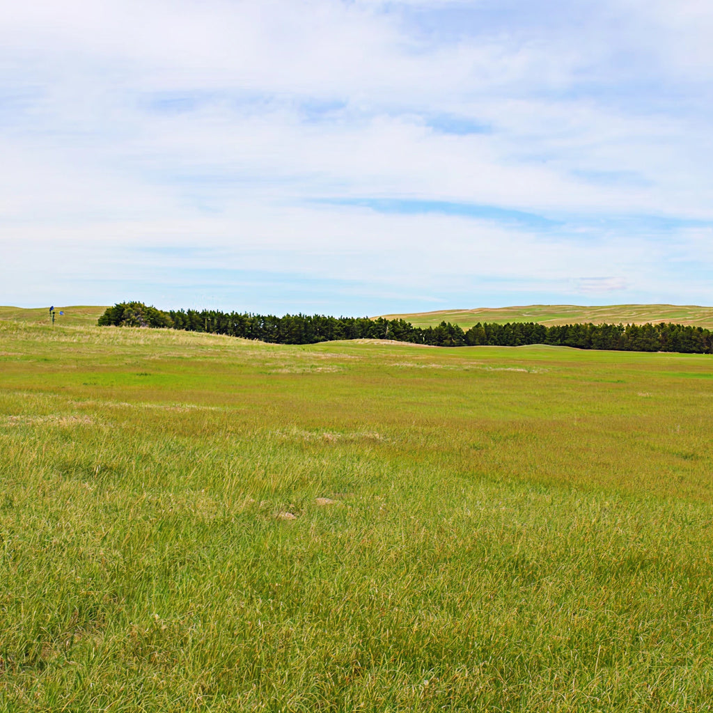 Sandhills Upland Hunt: 2-Day Trip for Two