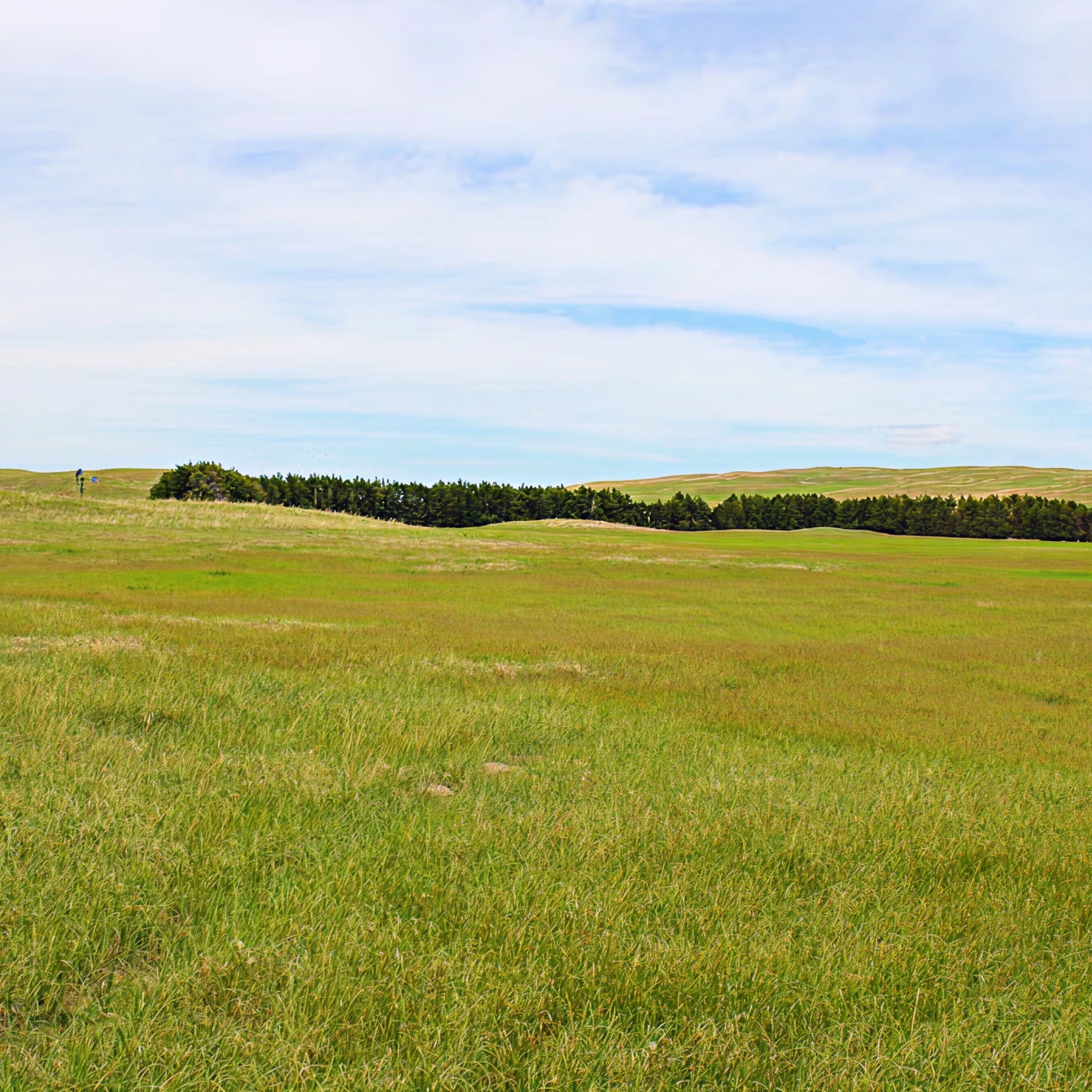 Sandhills Upland Hunt: 2-Day Trip for Two