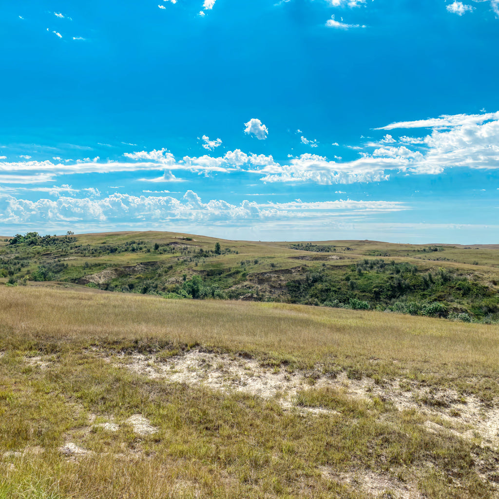 2 Person, 3 Day Upland Hunt with Lodging in Beach, ND