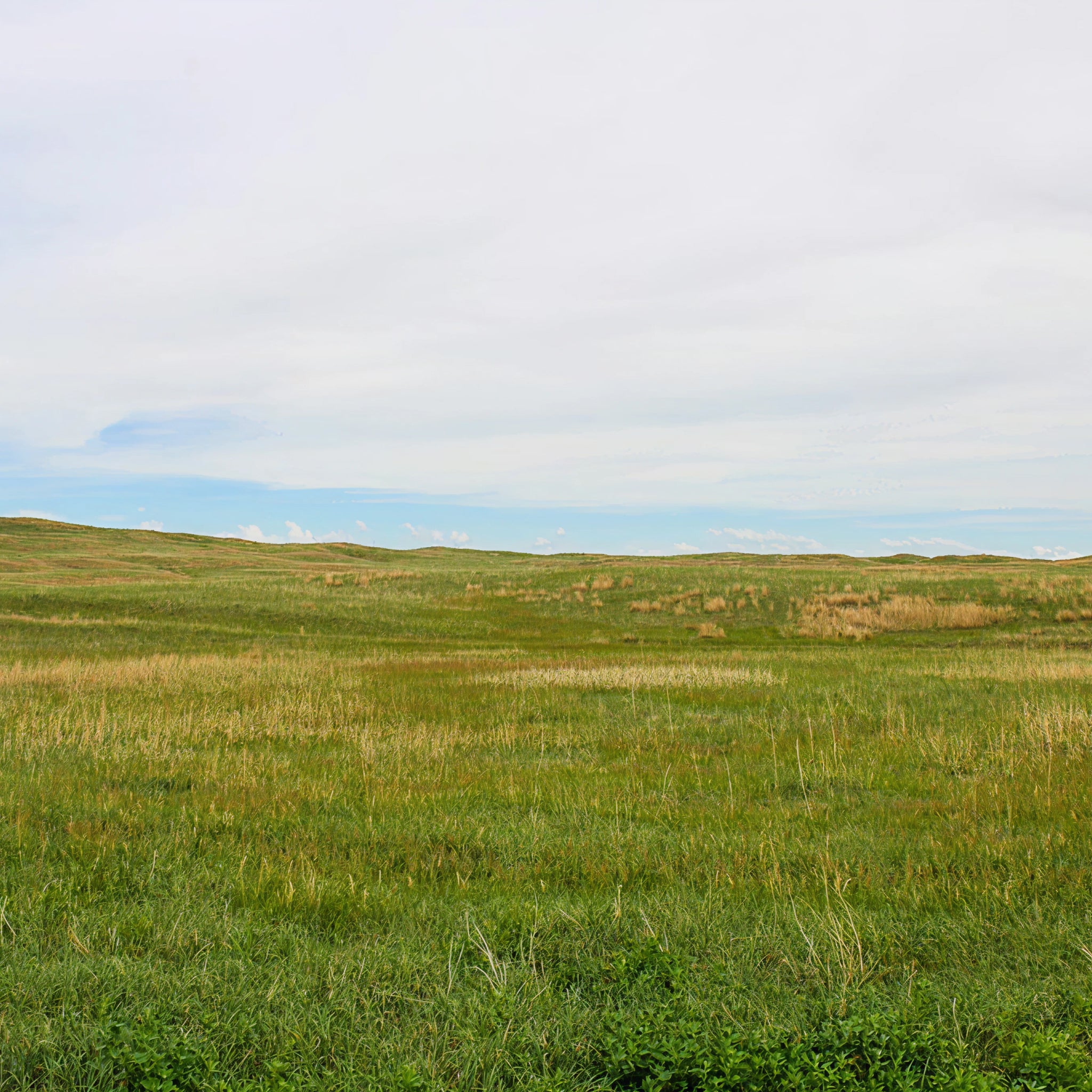 Sandhills Upland Hunt: 2-Day Trip for Two