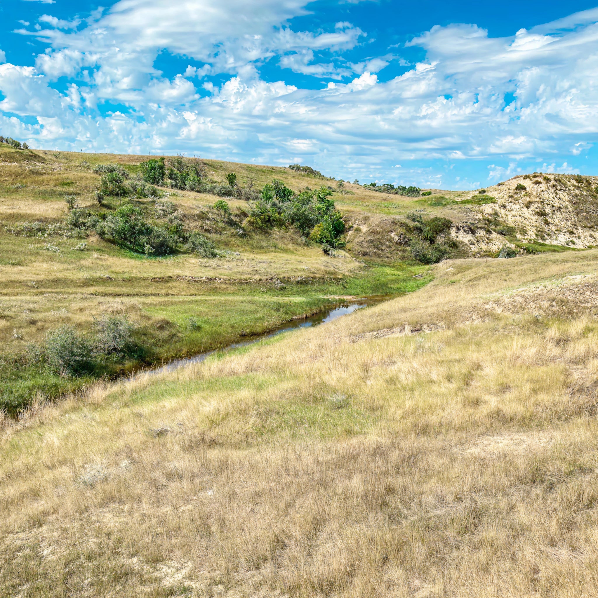 2 Person, 3 Day Upland Hunt with Lodging in Beach, ND