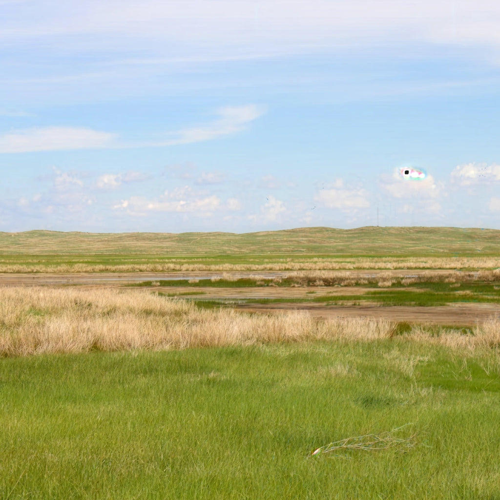 Sandhills Upland Hunt: 2-Day Trip for Two