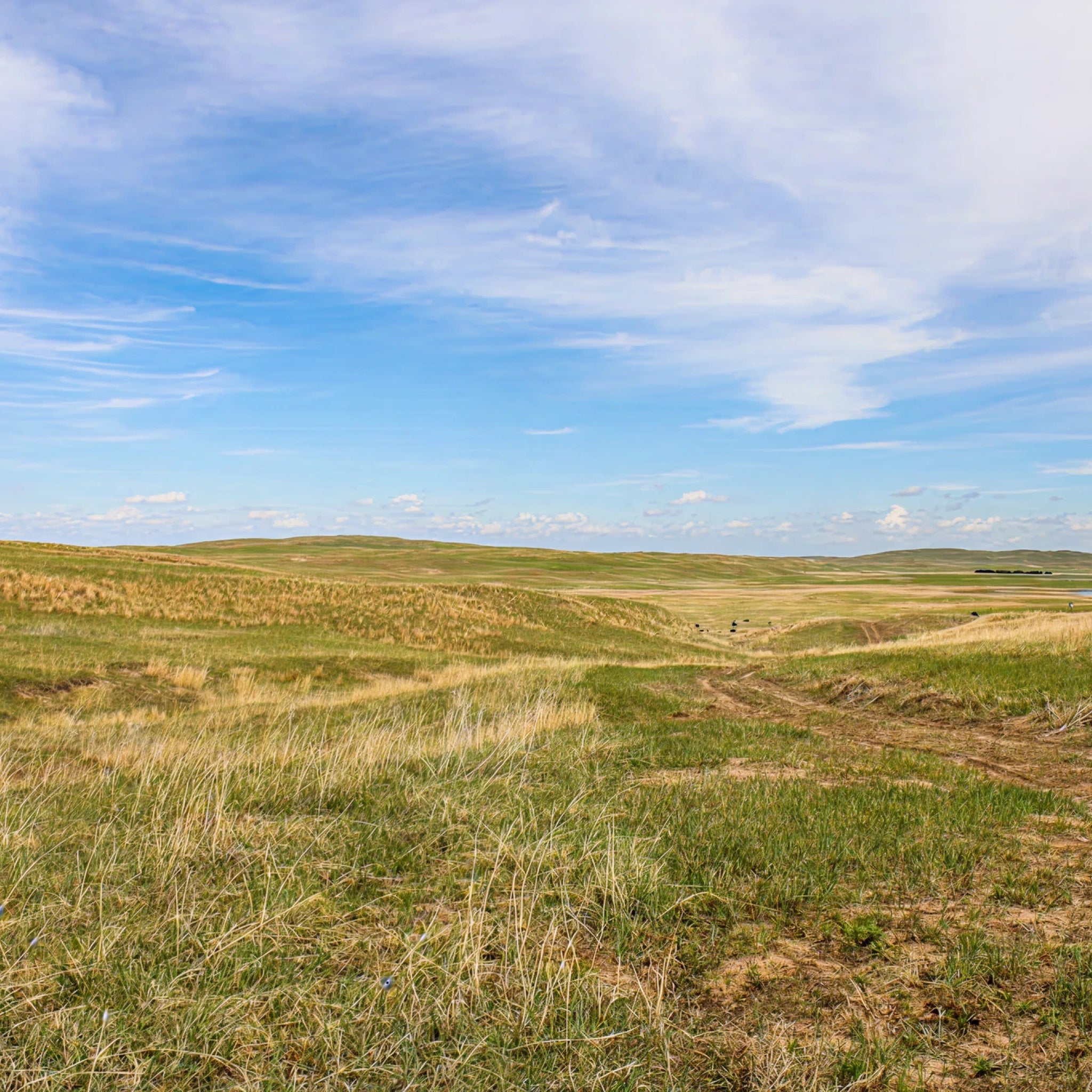 Sandhills Upland Hunt: 2-Day Trip for Two