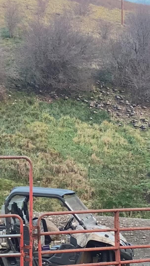 2 Person, 3 Day Rio Grande Turkey Hunt with RV Site in Asotin, WA